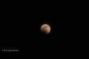 190120 Lunar Eclipse 1