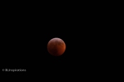Super Blood Wolf Moon