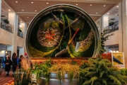 Flower Show 1