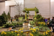 Flower Show 3
