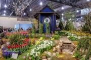 Flower Show 5