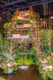 Flower Show 2