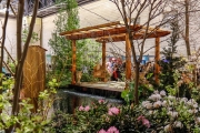 Flower Show 6