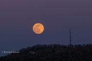 Supermoon over Daphna Tower