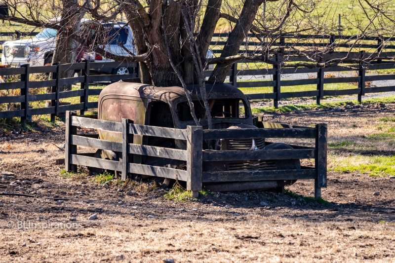 MG_1328-Web