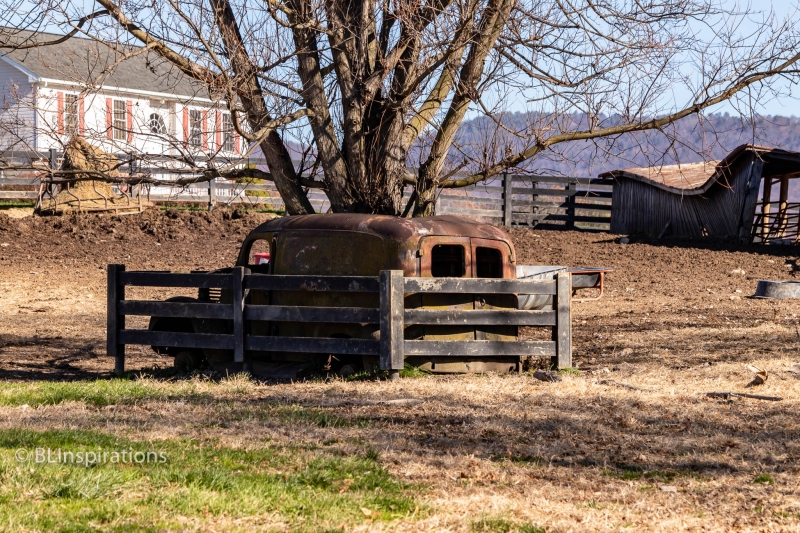 MG_1329-Web