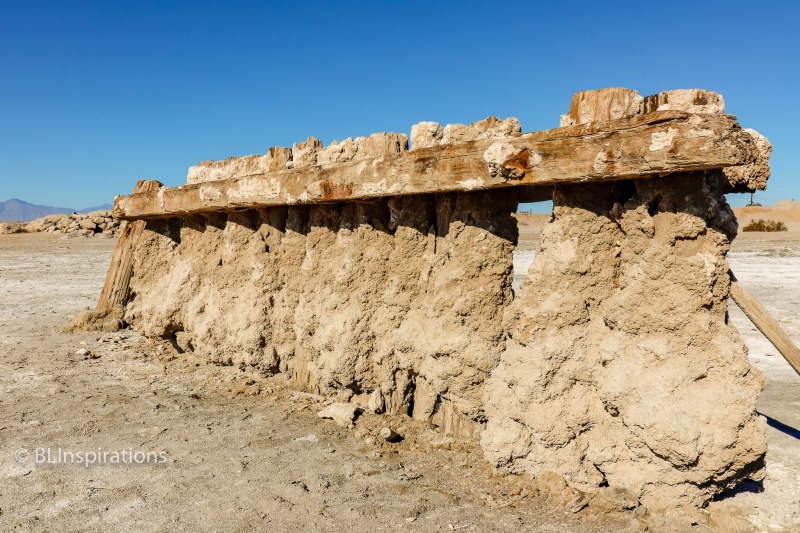 Bombay Beach Pilings 5