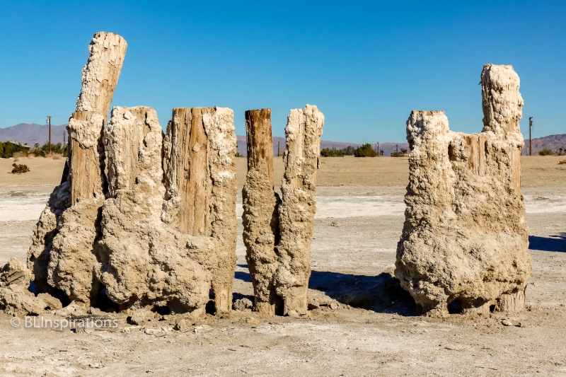 Bombay Beach Pilings 3