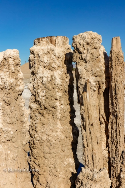 Bombay Beach Pilings 4