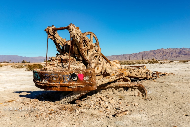 Bombay Beach Crane 1