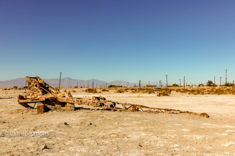 Bombay Beach Crane 3