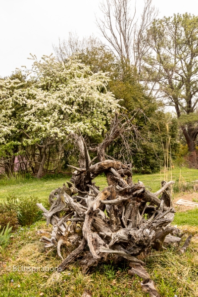 Wood Sculpture