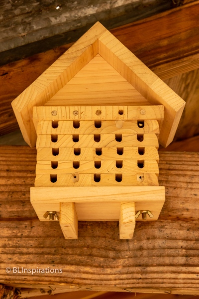 Bee House