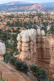 "New" Hoodoos in Fairyland Canyon