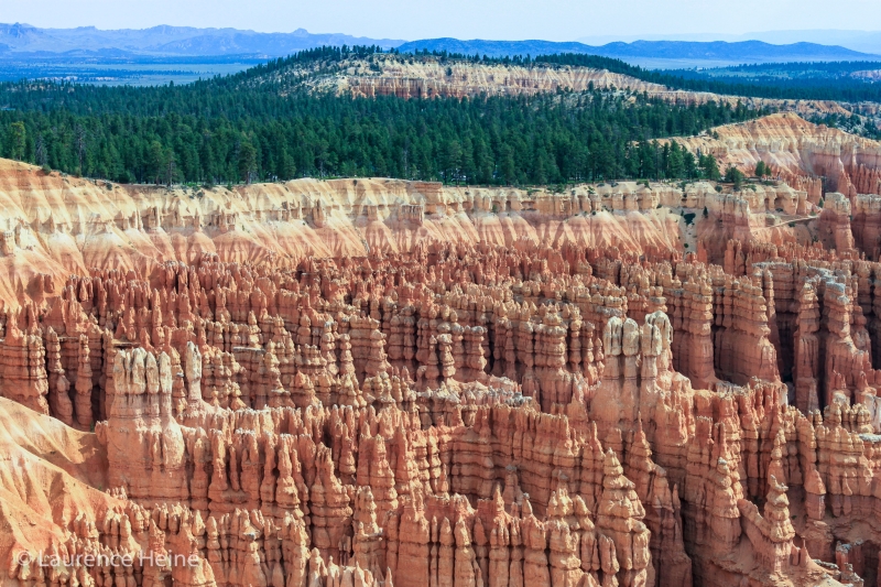 Bryce Canyon Hoodoos
