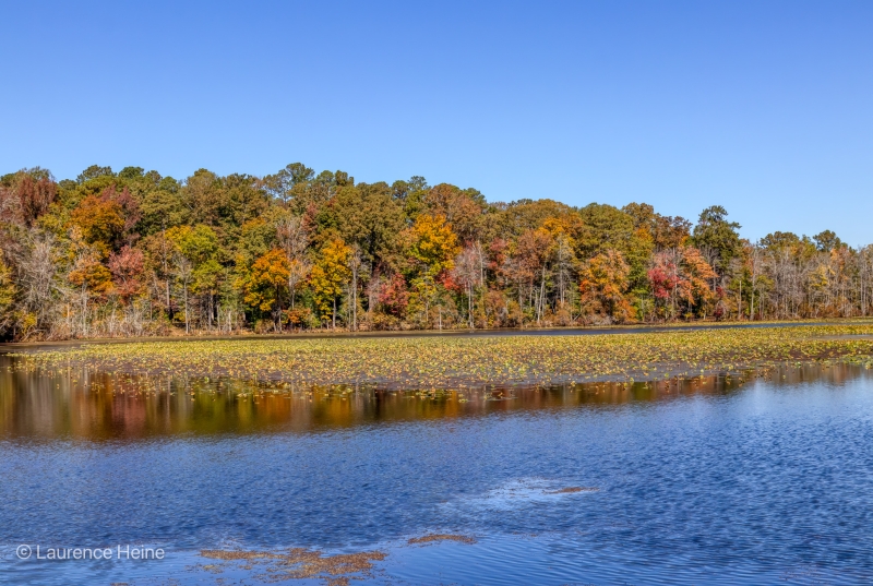 Autumn at Taylors Millpond