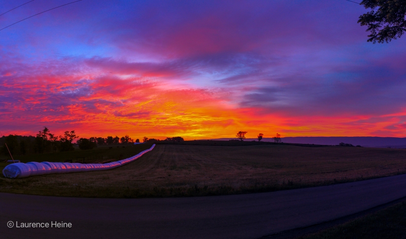 Lacey Spring Sunrise 1