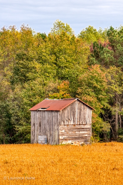 Johnston County, NC Tobacco Barn 7