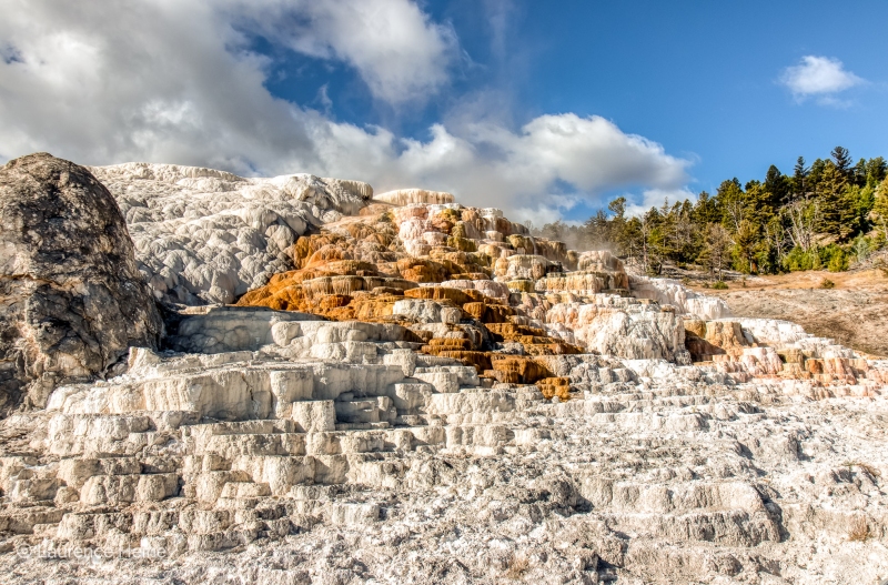 Mammoth Hot Springs 1