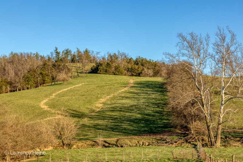 Hay Trails 1