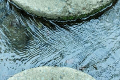Water Patterns 1
