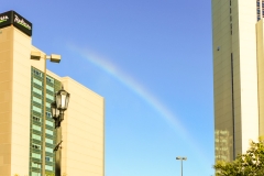 Rainbows Everywhere