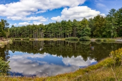 Tomahawk Pond 1