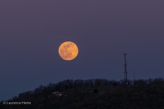 Super Moon over Daphna Tower