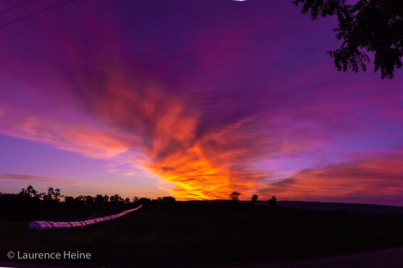 Lacey Spring Sunrise 2