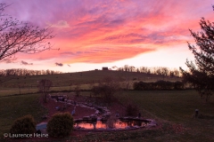 Sunset Reflection