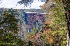 New River Gorge Bridge 1