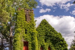 Ivy Covered Church