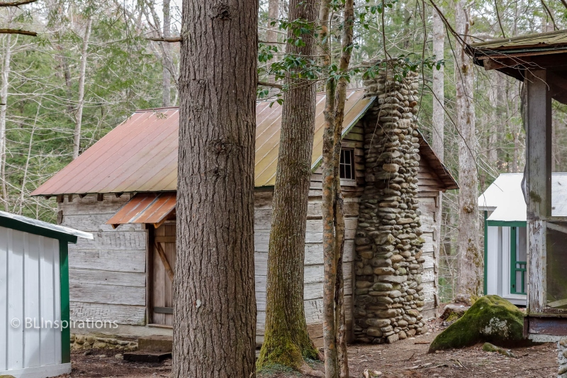 Levi Trentham Log Cabin 1