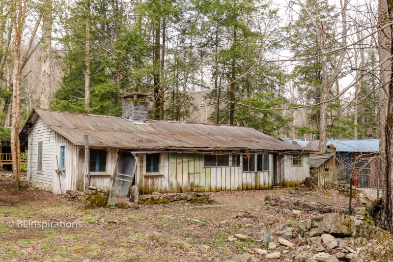 Luxury Vacation Cabin - Weekly Rates Available