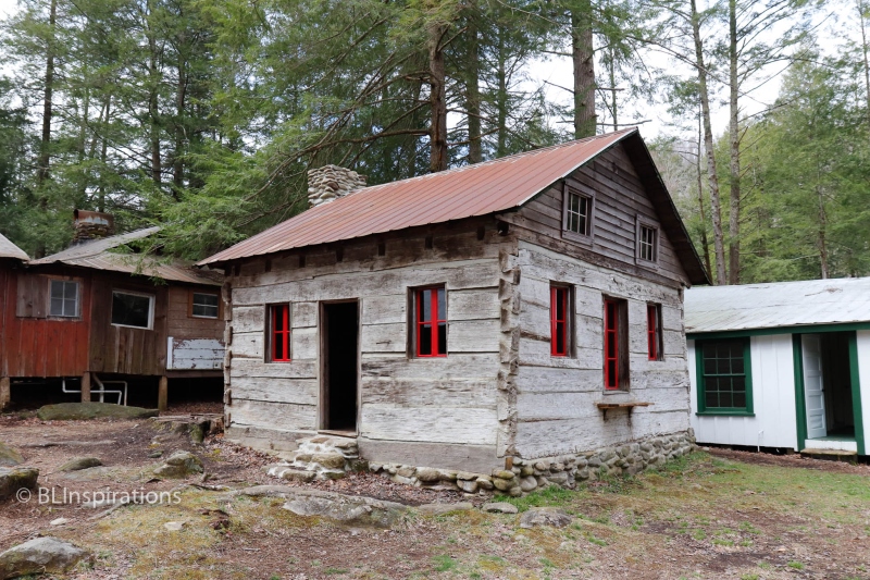 Levi Trentham Log Cabin 2