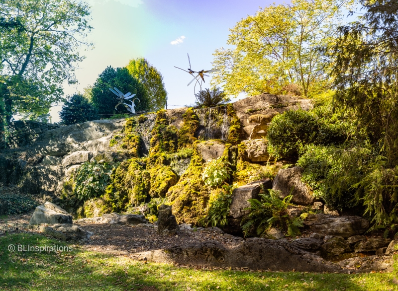 Dance Of The Dragonflies Panorama - 2015