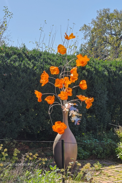 California Poppies - 2021