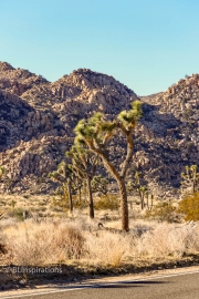 Granite Rocks 2