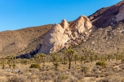 Granite Outcrop in Gneiss