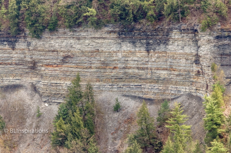 Genesee River Gorge 2