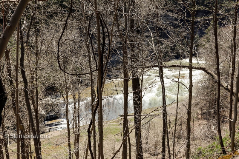 Letchworth Lower Falls 1