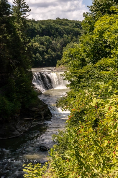 Letchworth Lower Falls 4