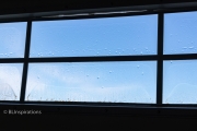 Water and Ice on Windows