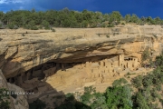 Cliff Palace Panorama