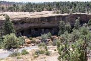 Spruce Tree House