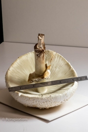 Showing size of mushroom