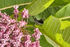 1E4A1607_AuroraHDR2019-edit-Edit-Web