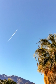 Contrail over Palm Springs