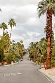 View south on North Rose Avenue