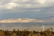 Wind Turbines from Tramway Rd.